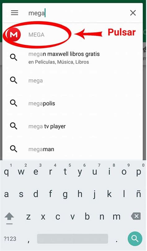 mega nx|iniciar sesión mega nz.